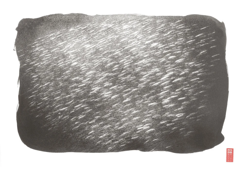 blurred cloud like school of fish against dark water