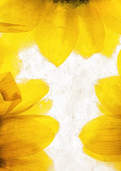 three yellow sunflowers in ice