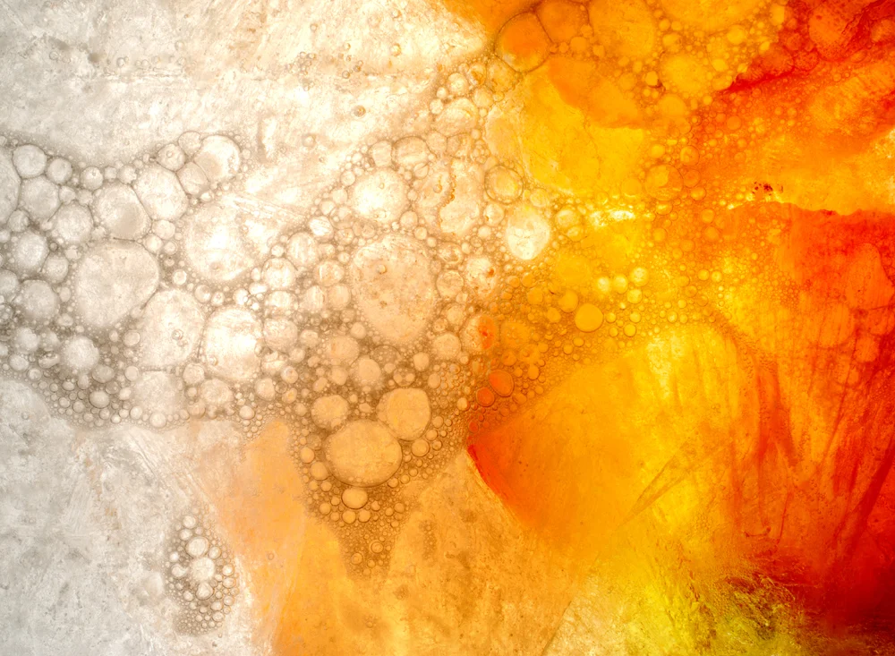 bright orange red close up poppy bubbles in ice