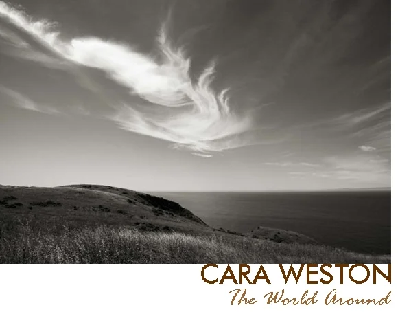 art show poster cara weston photo of pacific ocean