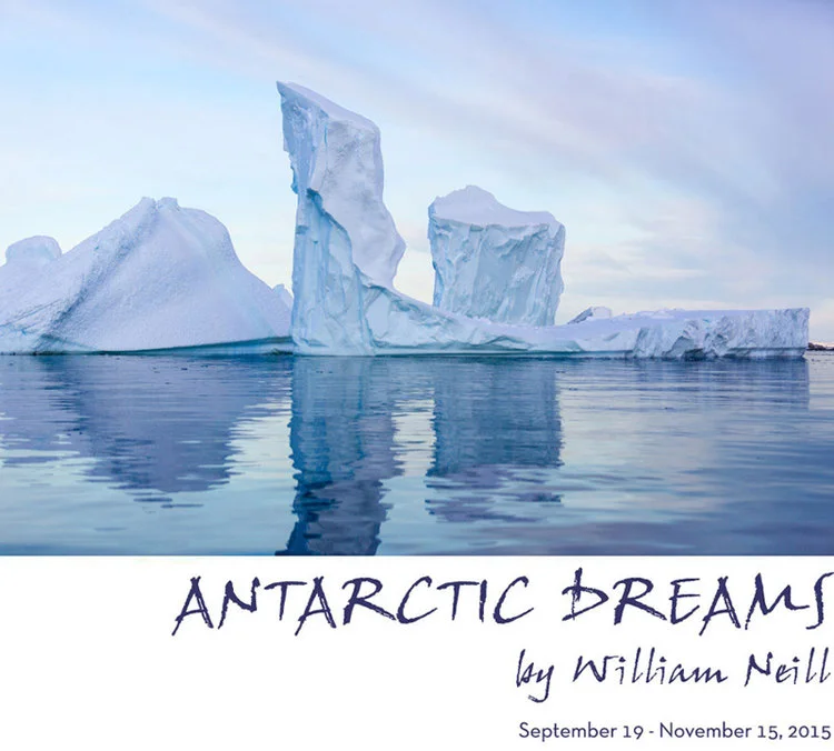 icebergs in water