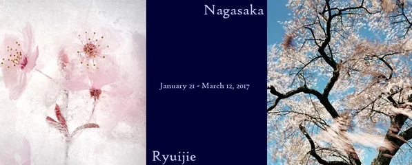 art show flyer two photos of cherry blossoms