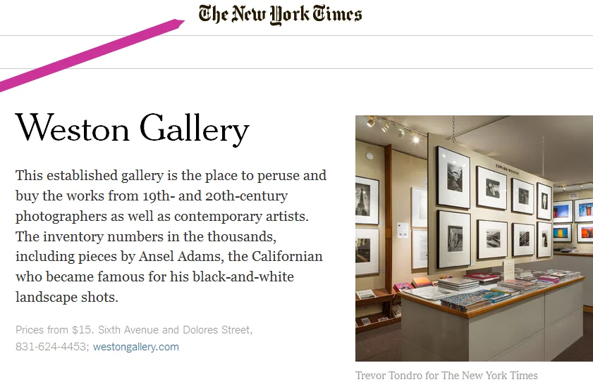 Screenshot of New York Times Article