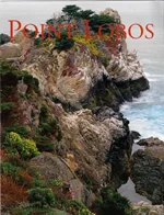 pointlobosparker.jpg