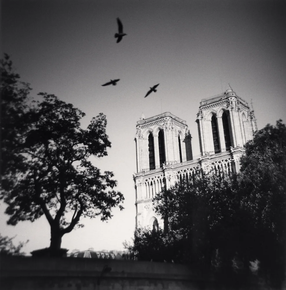 notre dame with two birds front no spire