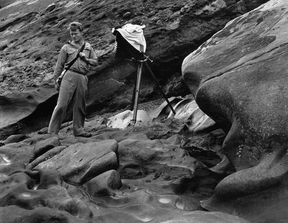 brett-weston-camera-point-lobos-weston-gallery.jpeg