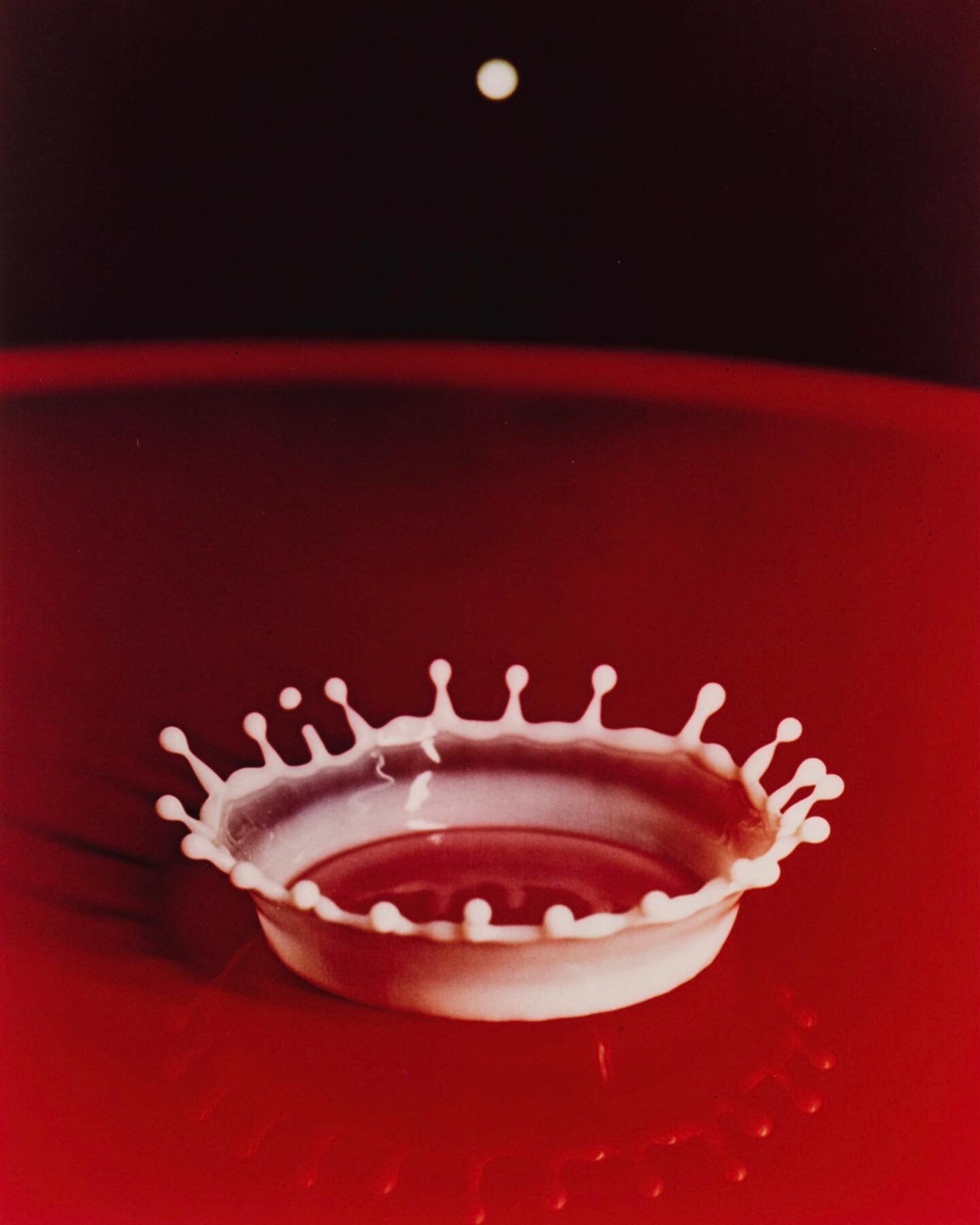 #fridaysales &ldquo;Milk Drop Coronet, 1957&rdquo; by Harold &ldquo;Doc&rdquo; Edgerton. The Council for the Arts at MIT awarded Edgerton the Eugene McDermott Award with this citation, &ldquo;We can instantly recall it: the drop of milk splashing aga