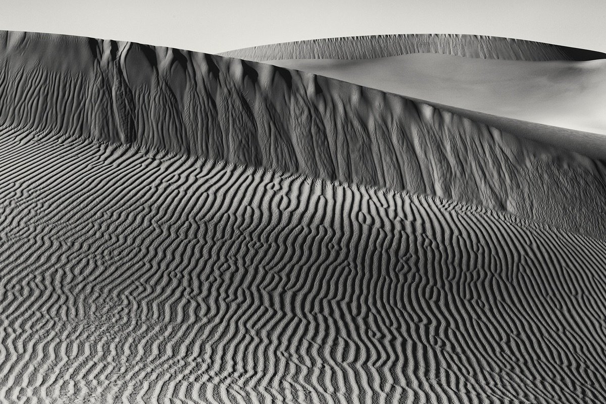 Swoon&hellip;new dune studies by Cara Weston! #happysummer #dune #dunes #abstraction #womenphotographers #westonartists #blackandwhite #eureka #fineartphotography #gallerylife #carmelbythesea #lifebythesea #gallerylife