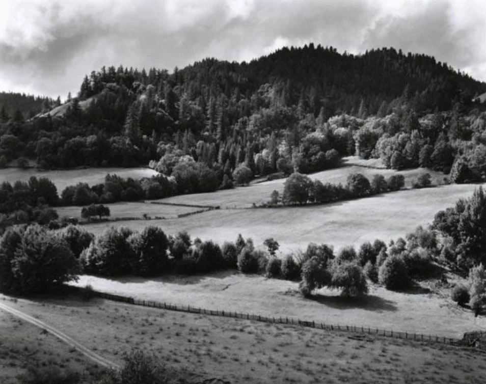Off to a new home! &ldquo;Eel River Ranch, 1937&rdquo; by Edward Weston

...the rain stopped suddenly and the sun came out in a sky spotty with clouds. Edward aimed his camera down at the little ranches across the river where every tree and bush leaf