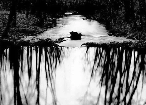 reflecting_stream.jpg