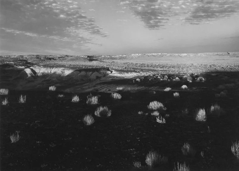 petrified-forest-arizona-landscape-1976-paul-caponigro-weston-gallery.jpg