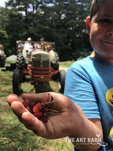 summercampmilton.jpg
