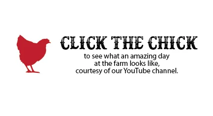 Parties The Art Barn