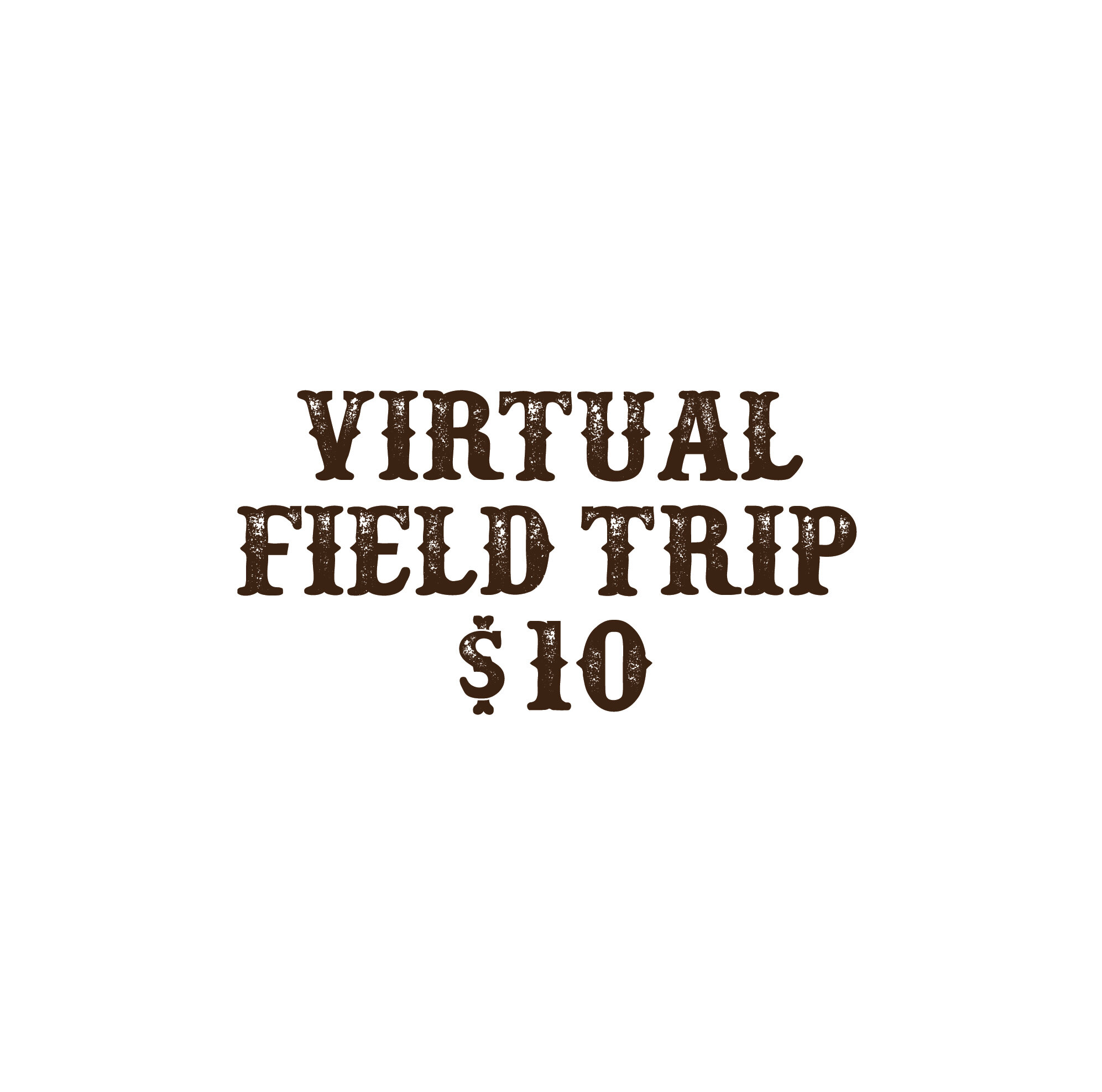 Virtual Field Trip Video Series - Per Student