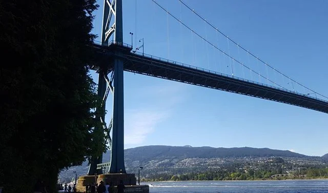 My fave bridge shot from the seawall.
#vancitybuzz
#vancityhype #vancitynow #instacanada #yvr #vancouverbc #hellobc #dailyhivevan #604now #yvrnow #yvr #viawesome #vancouverisawesome #instagramvancouver #narcityvancouver #exklusive_shot #feedbacknatio