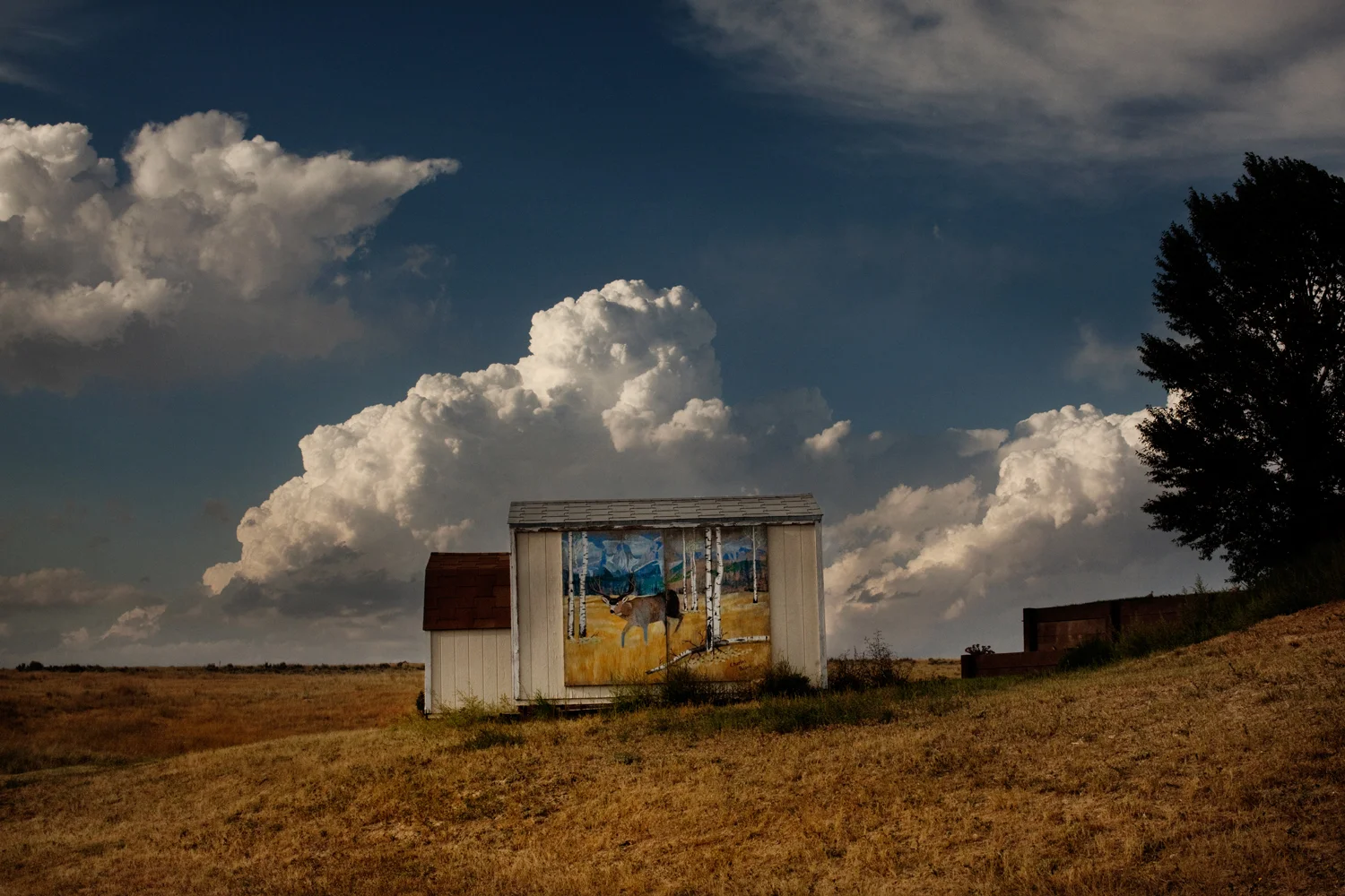 20110819__Rural__0846.jpg