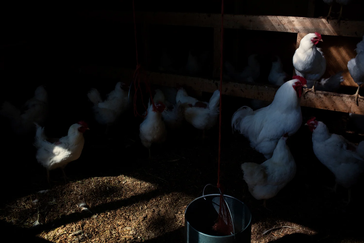 20110824__rural__2993.jpg