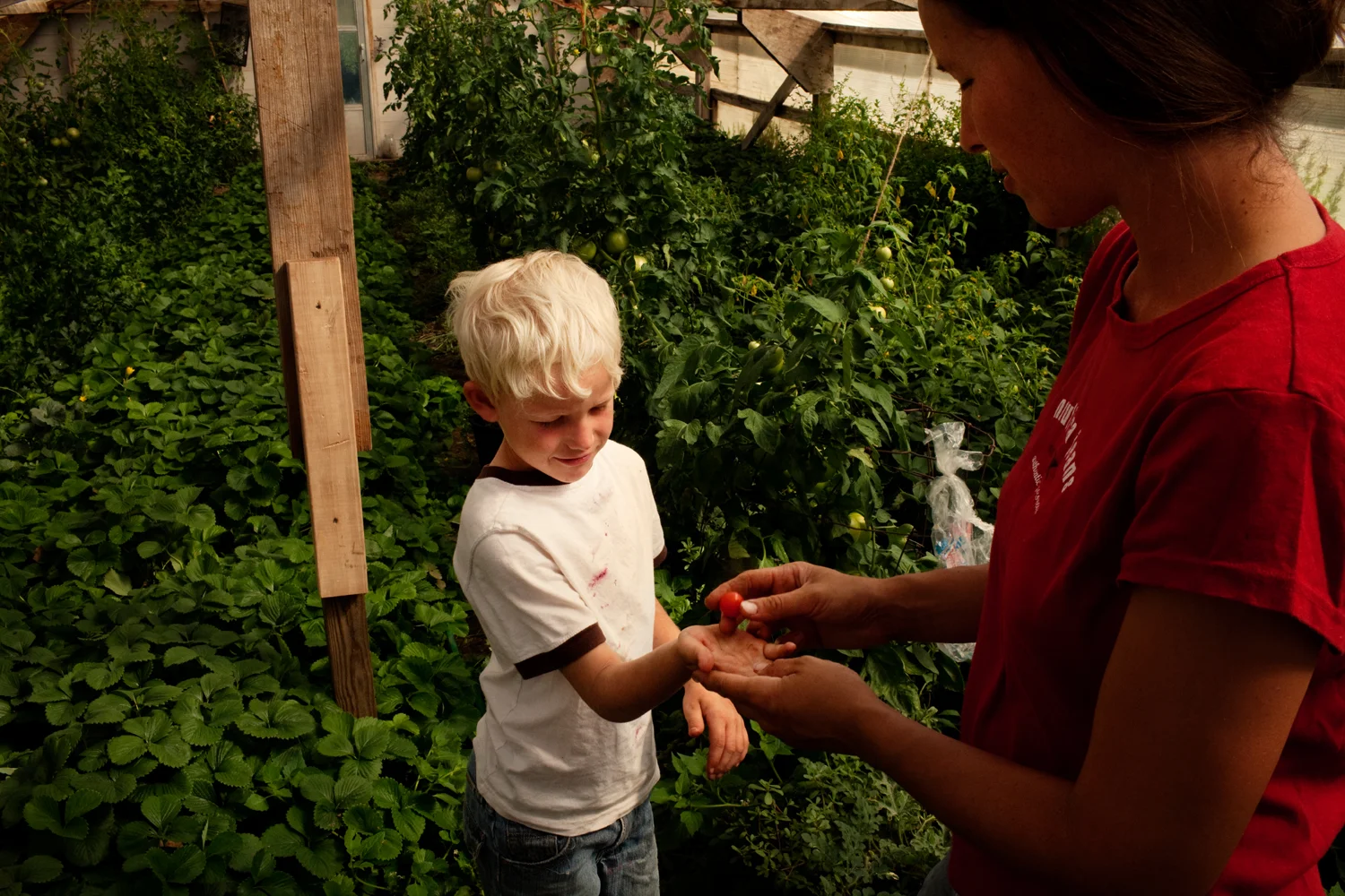 20110824__rural__3034.jpg