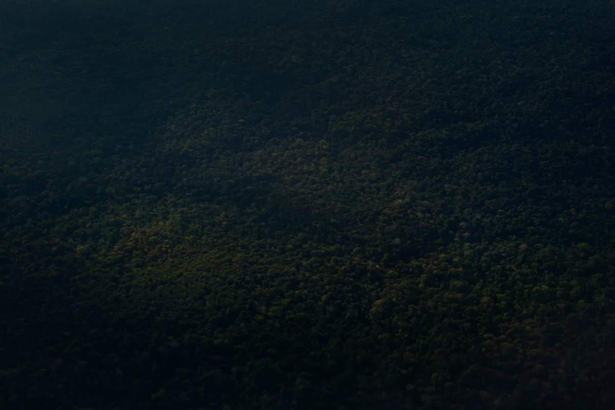 20130913_Ayahuasca_Peru__2059.jpg