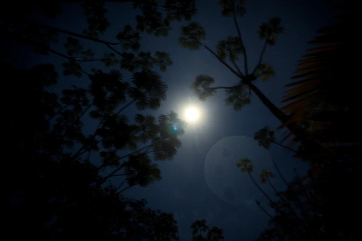 20130913_Ayahuasca_Peru__2394.jpg