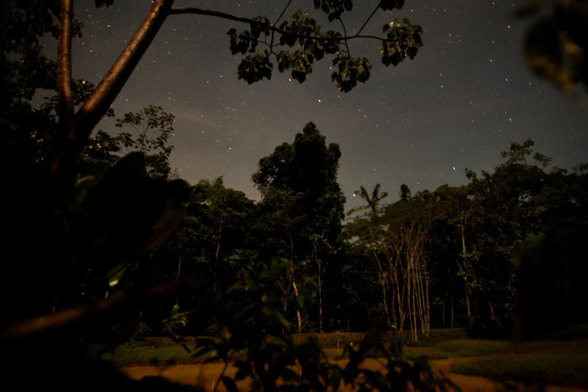 20130913_Ayahuasca_Peru__2460.jpg