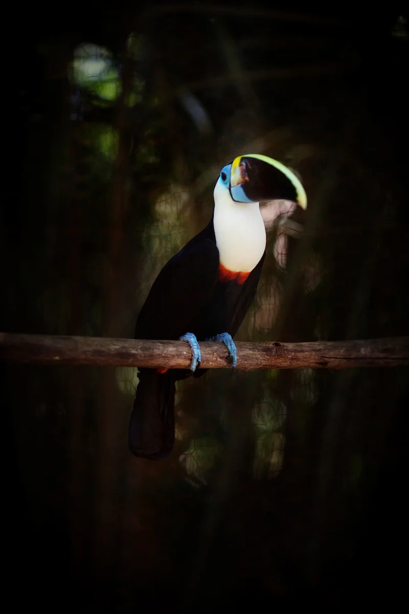 20130914Ayahuasca_Peru_2412.jpg