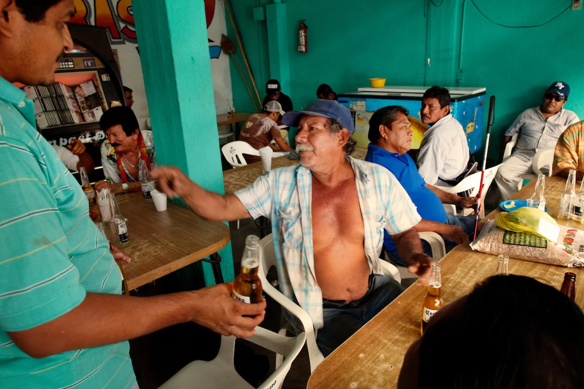 20120217_NEON_SeaTurtle_1056.jpg
