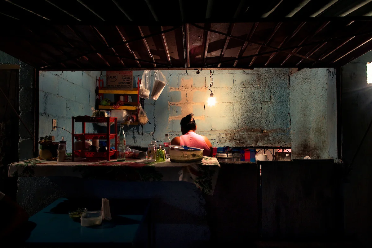 20120218__NEON_SeaTurtle__1777.jpg