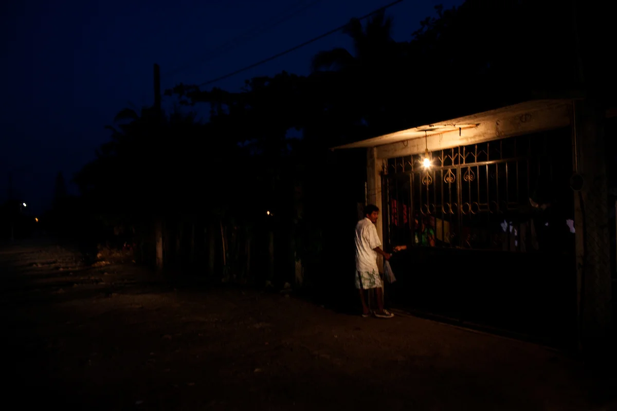 20120219__NEON_SeaTurtle__2289.jpg