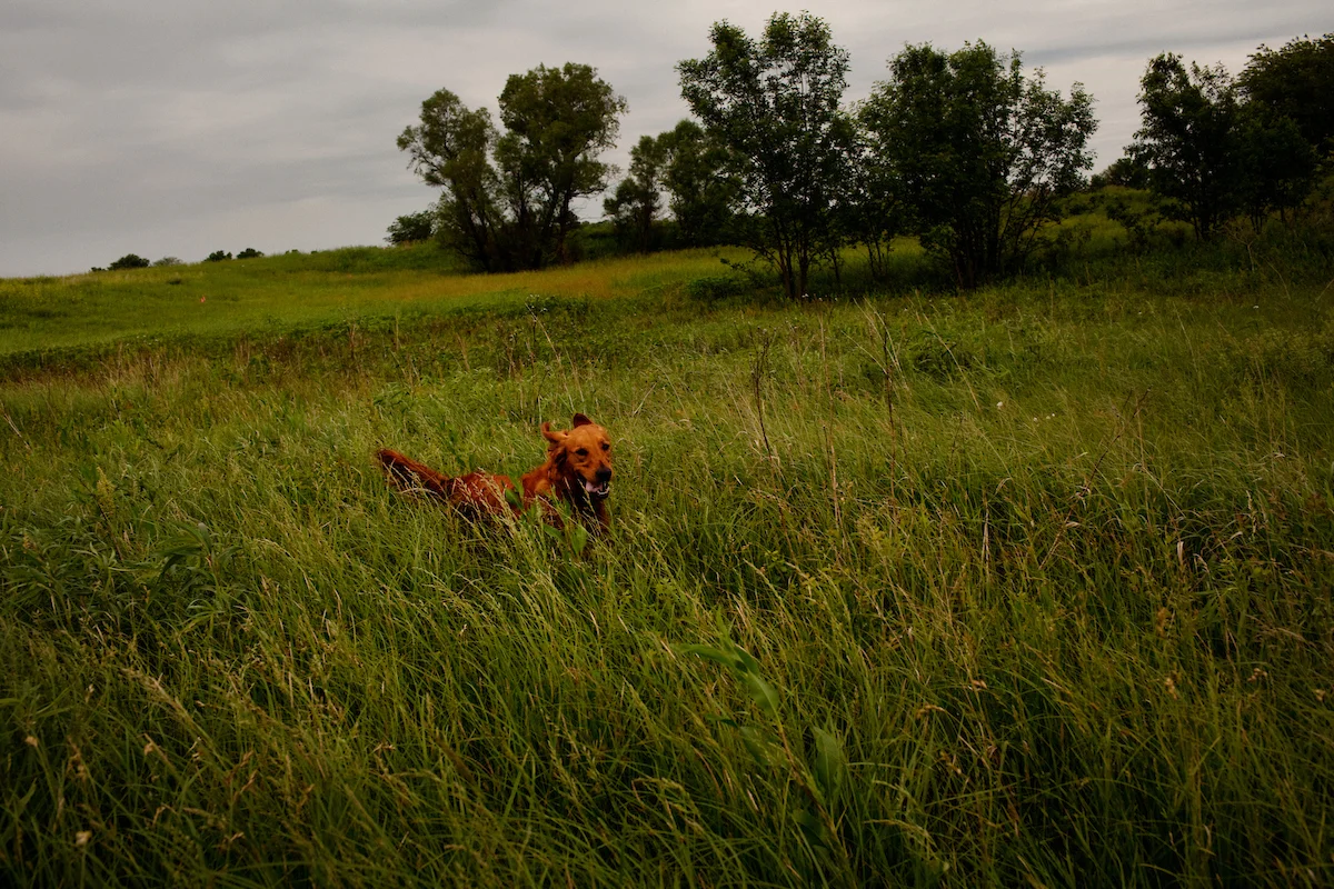 20110527__AARP_Kansas__0835.jpg