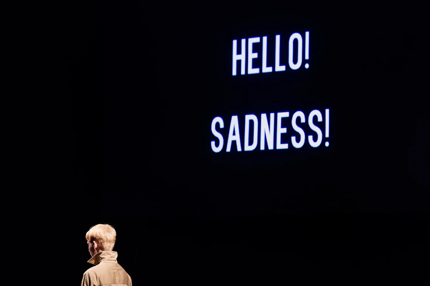 20150611_Kimmel_Hello!Sadness!_0560.jpg