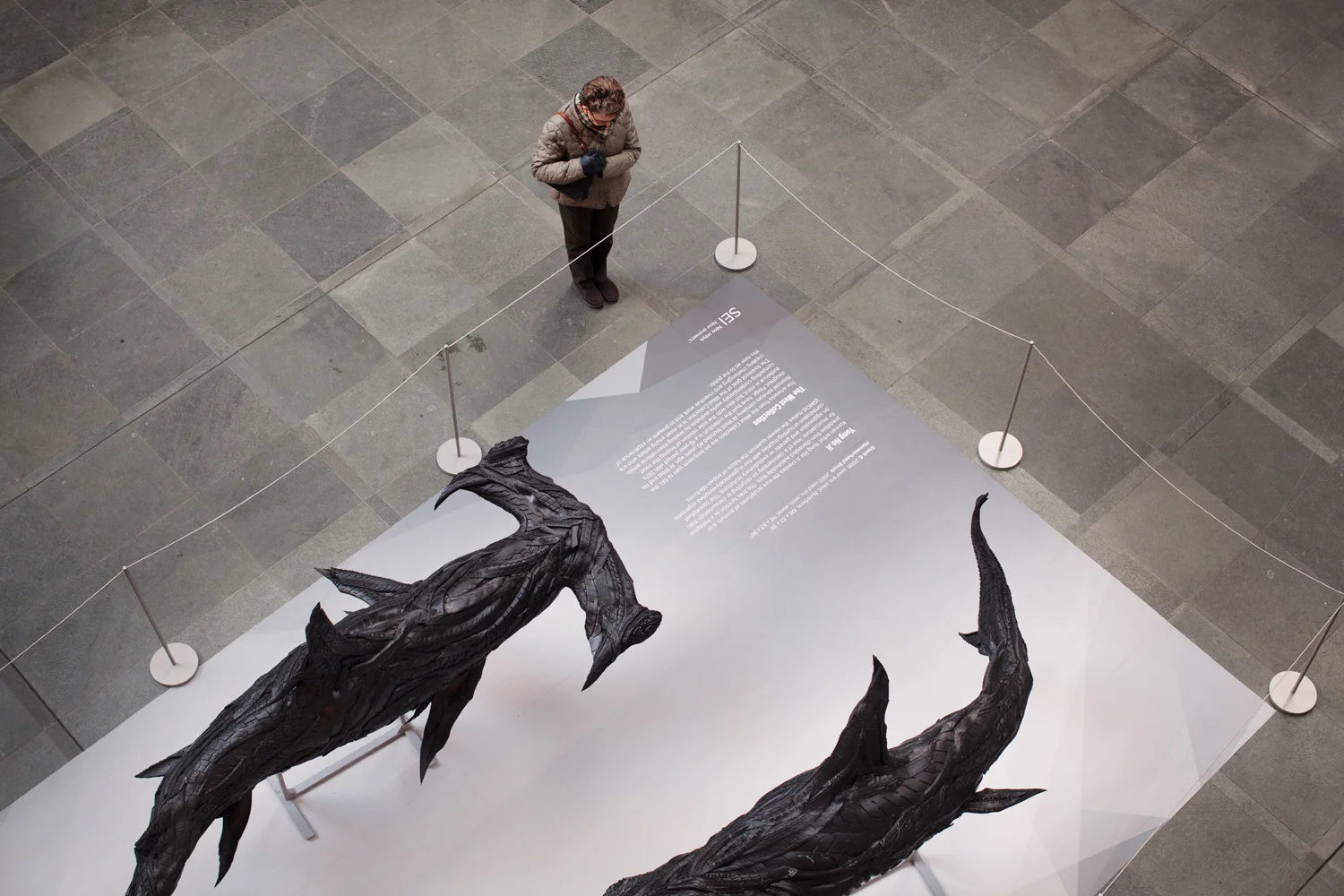 20150217_Kimmel_4873.jpg