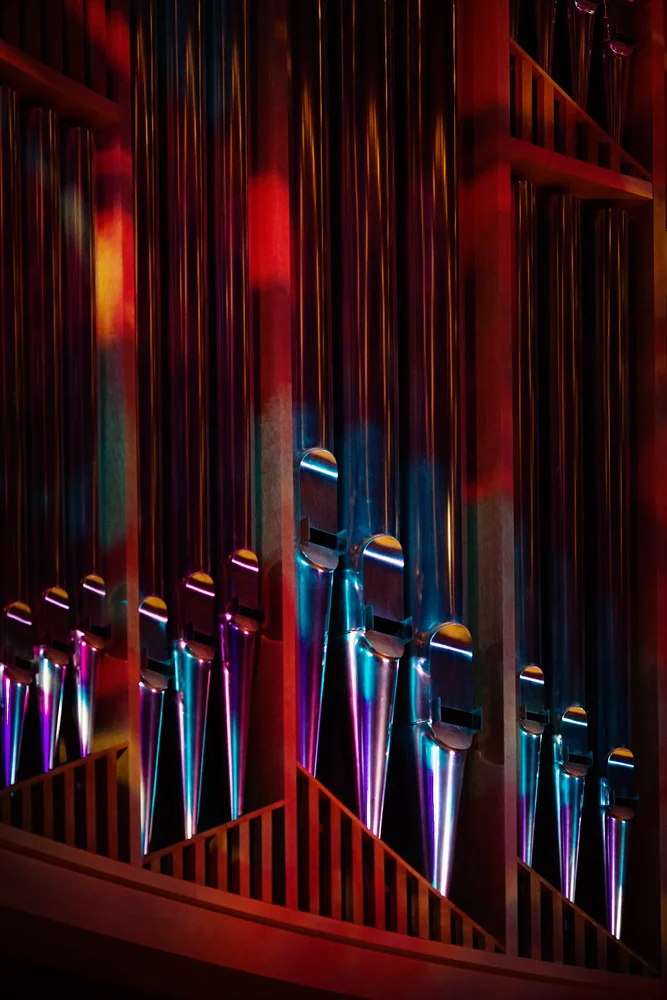 20150613_Kimmel_OrganDay_6808.jpg