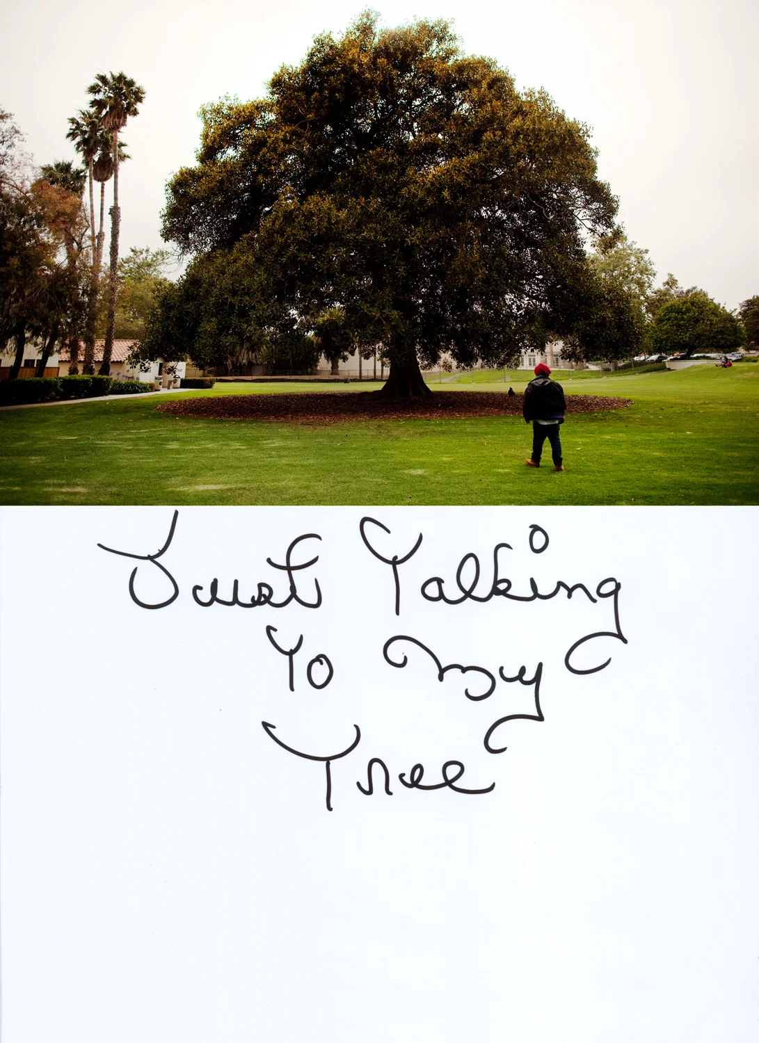 20100720__AARP__0139_post.jpg