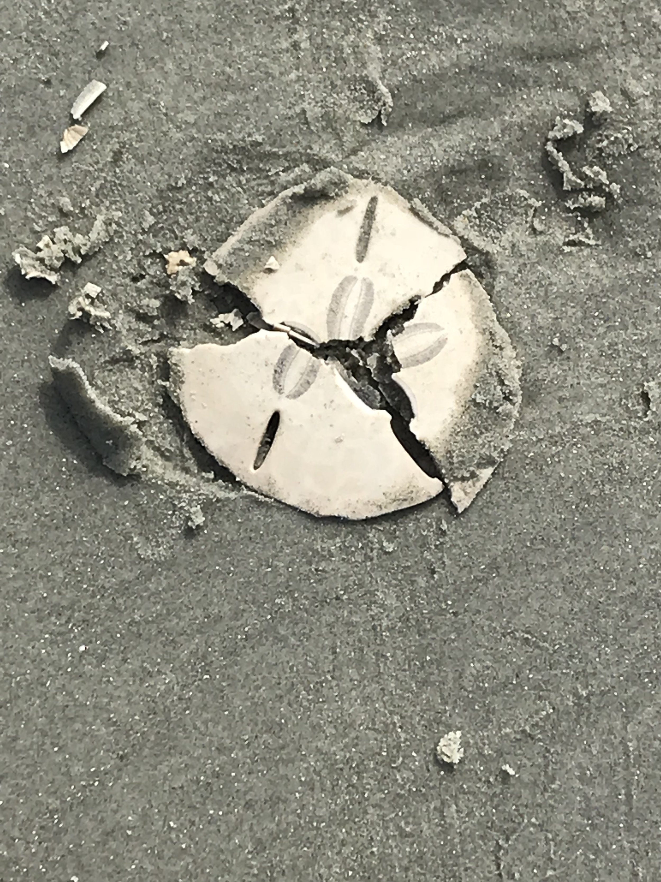 Living your brand...