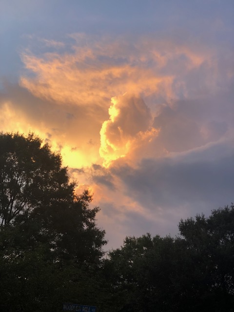 With 'Luck' comes insight...