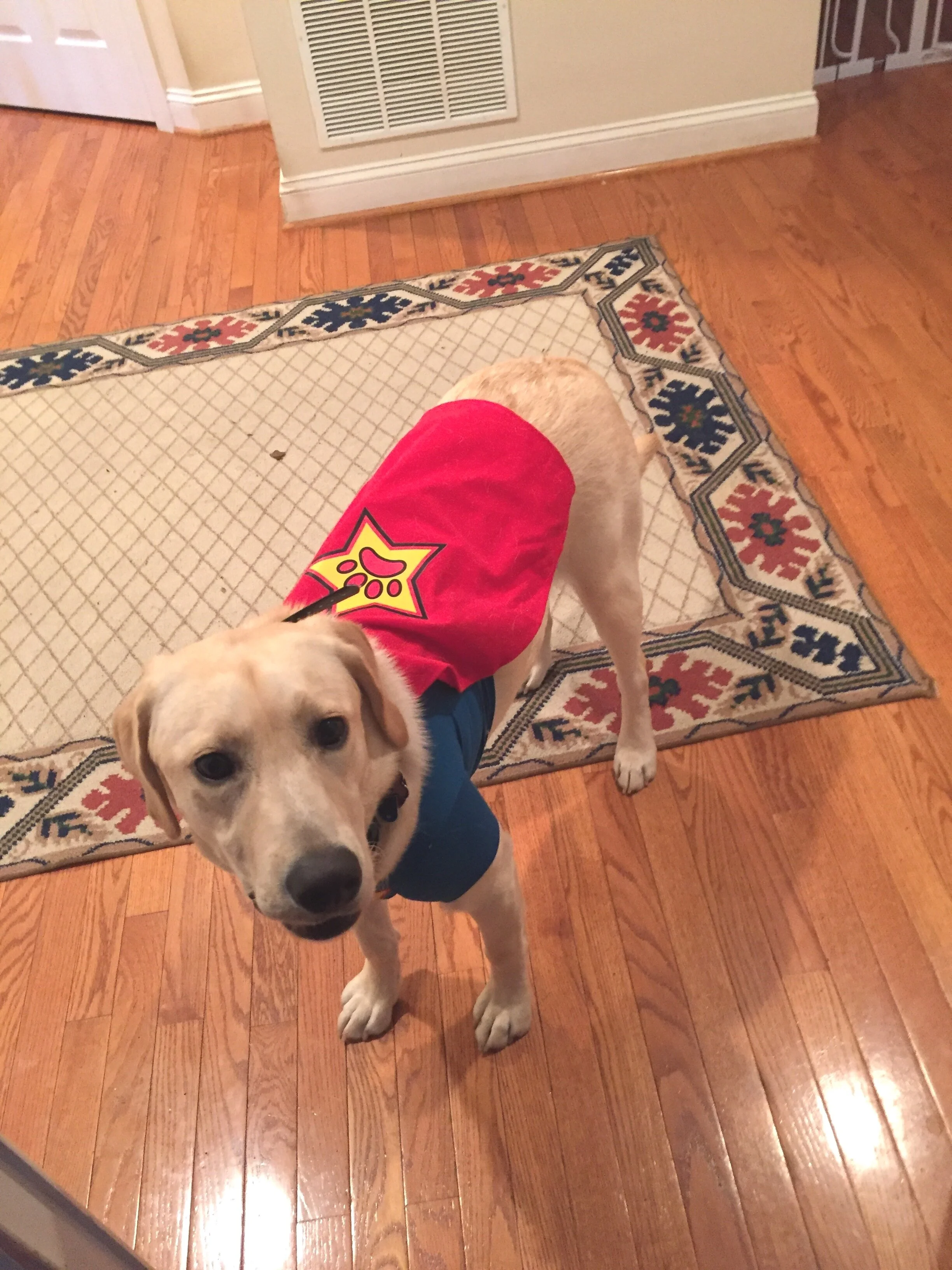 Believe in your people: Super Heroes will emerge   