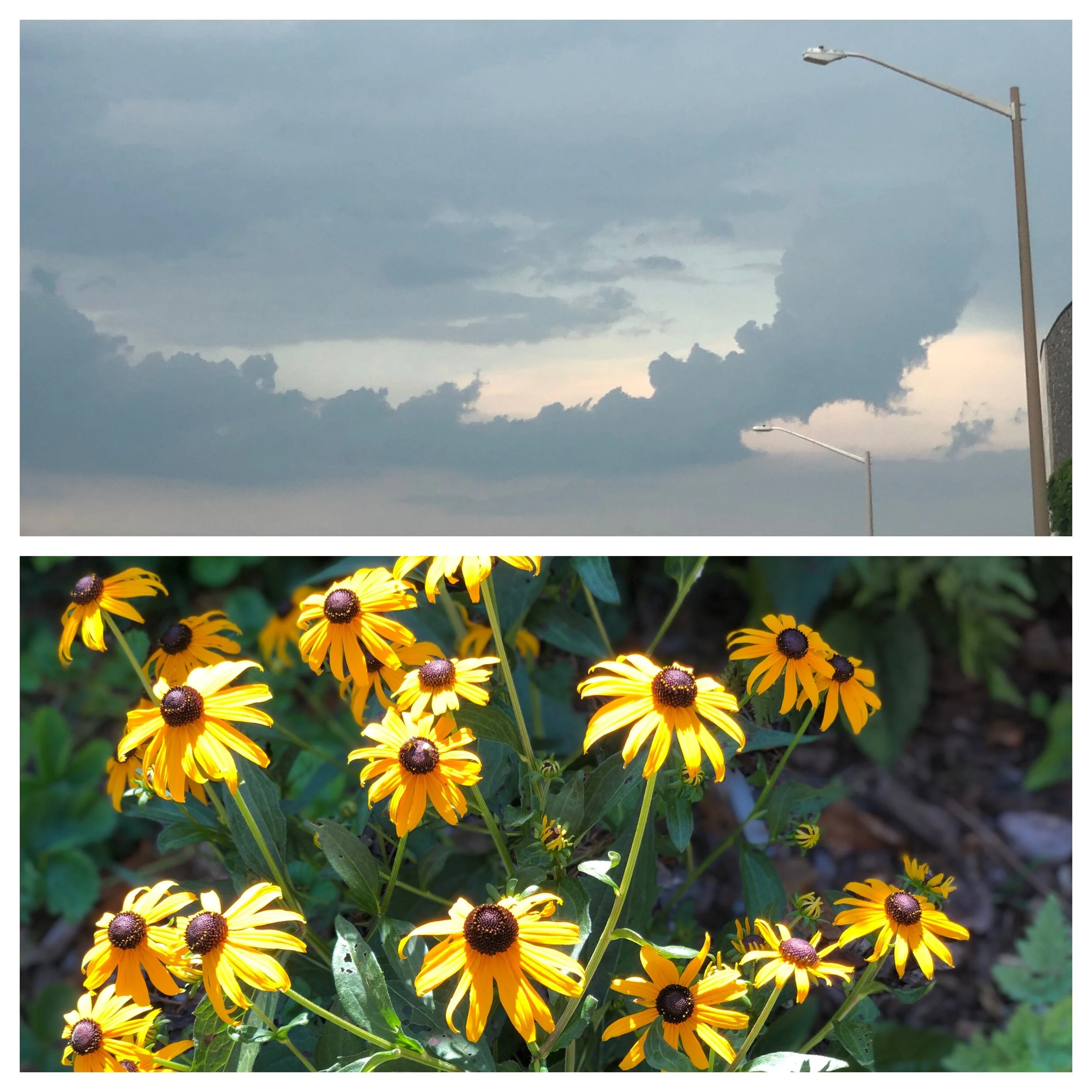 Relish in the change