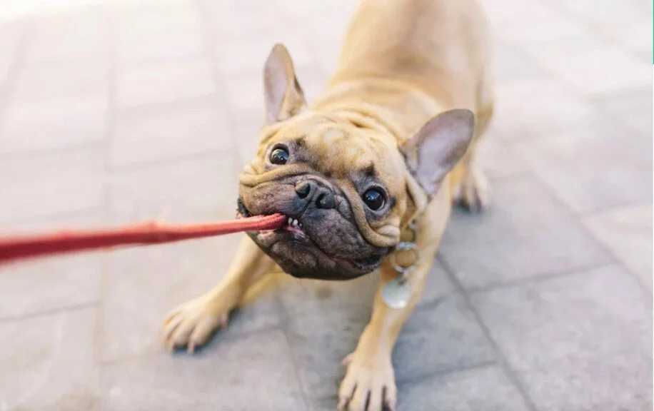 Leadership and change....