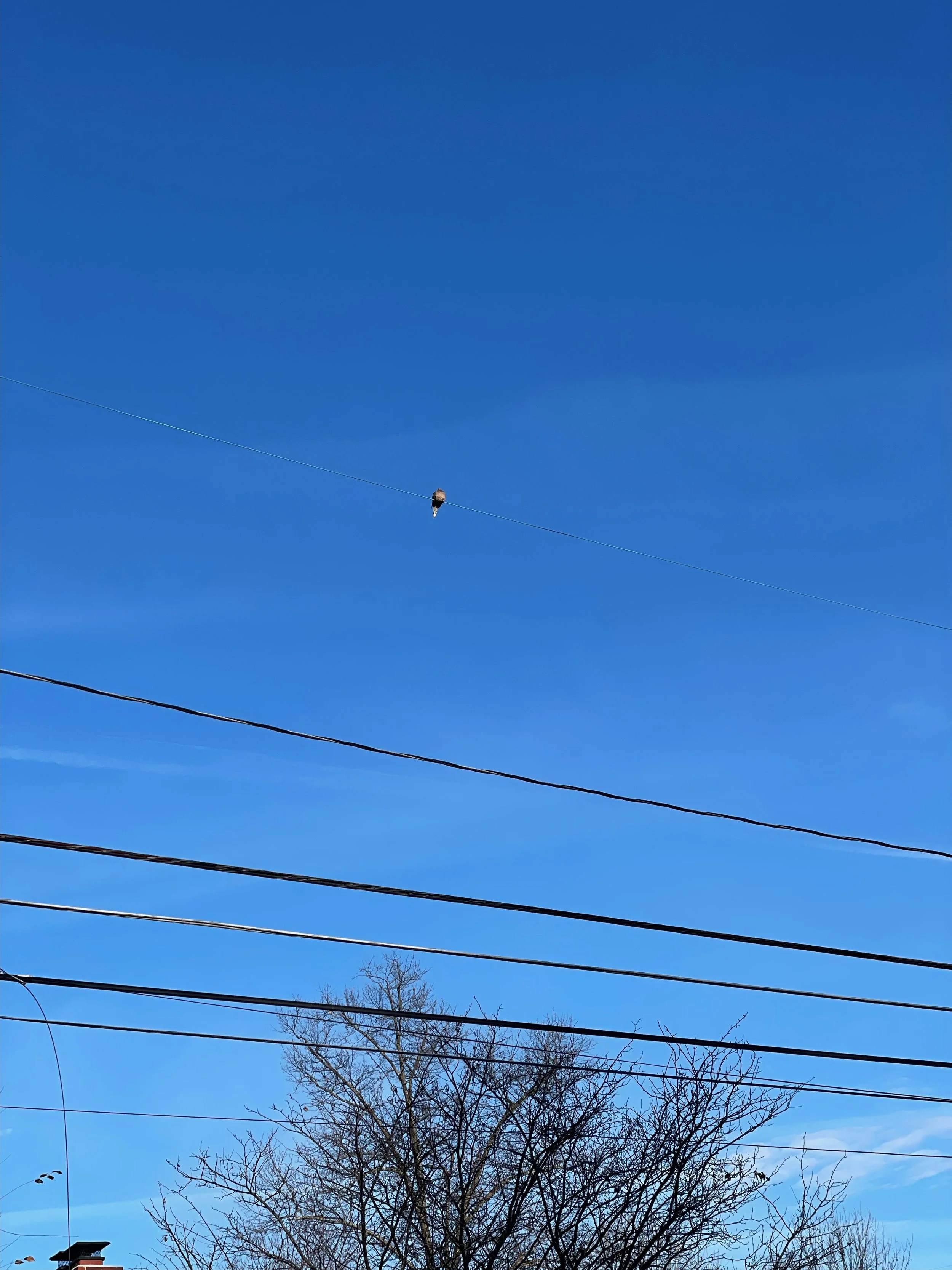 It's in the details...