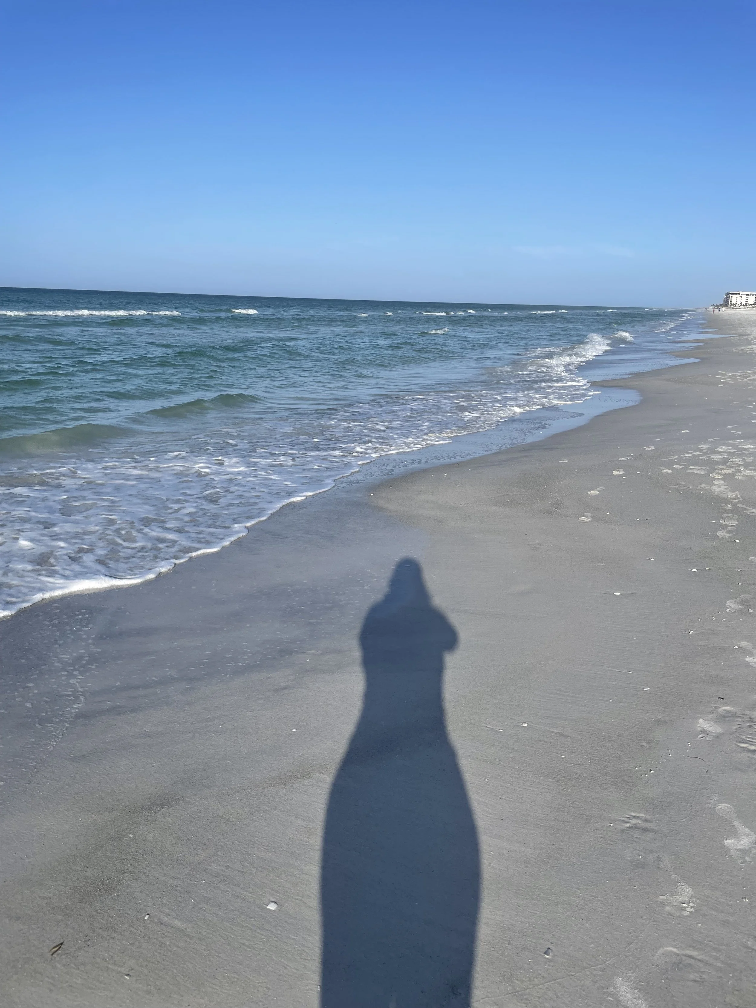 Let 'Women's History Month' motivate you