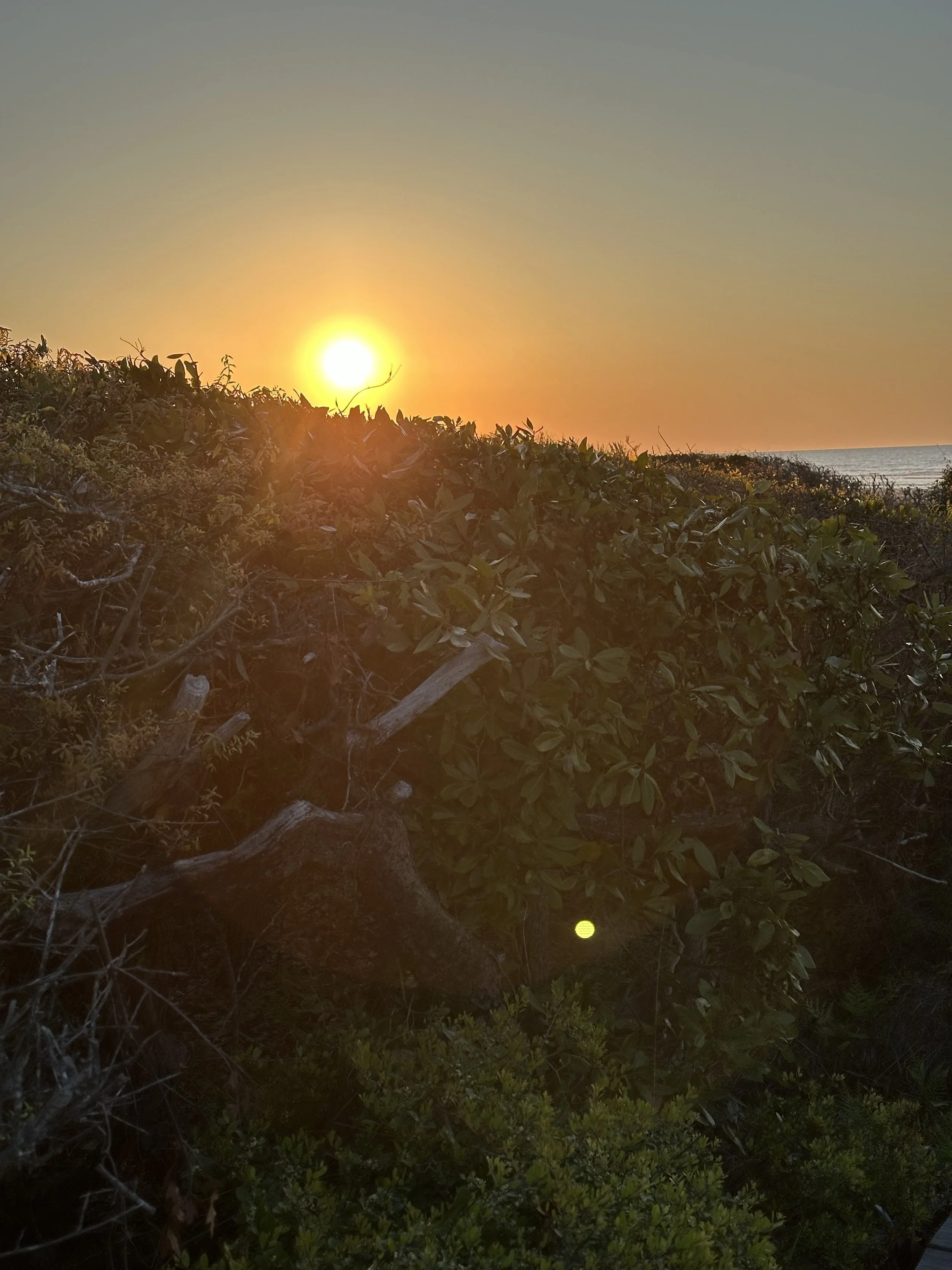 We are all impacted by the world around us...