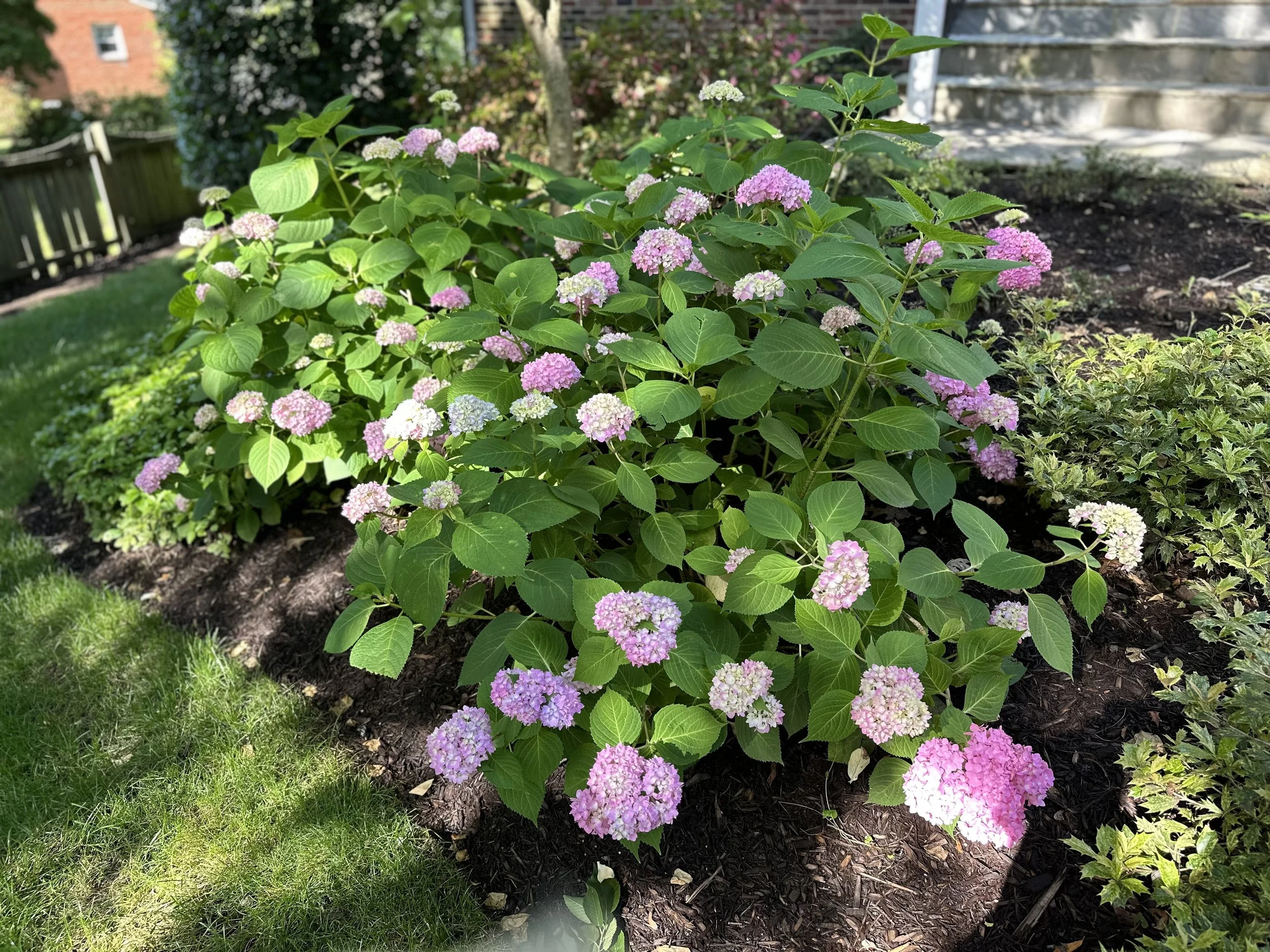 Patience pays off....