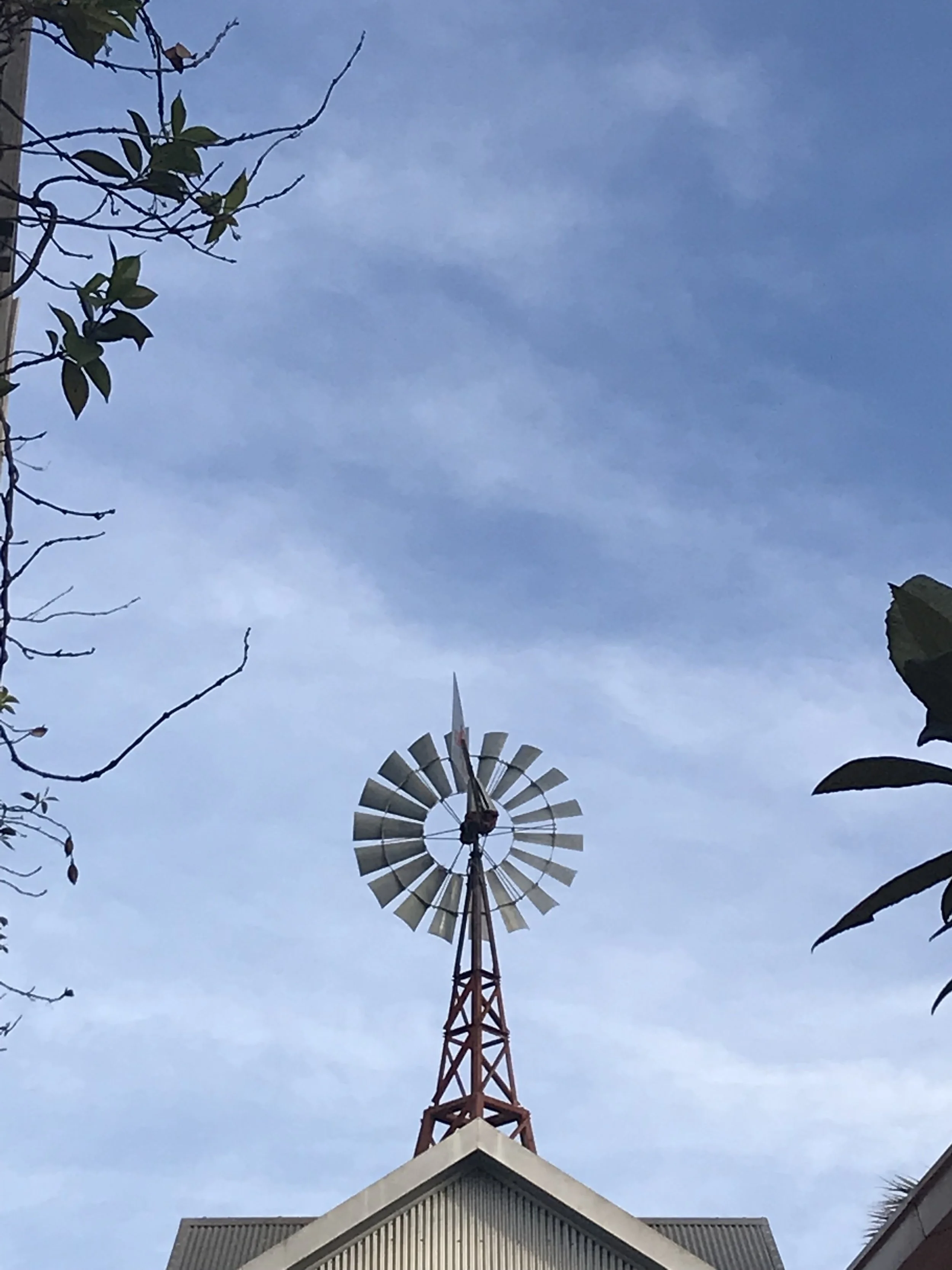 Why do we become entrepreneurs? 