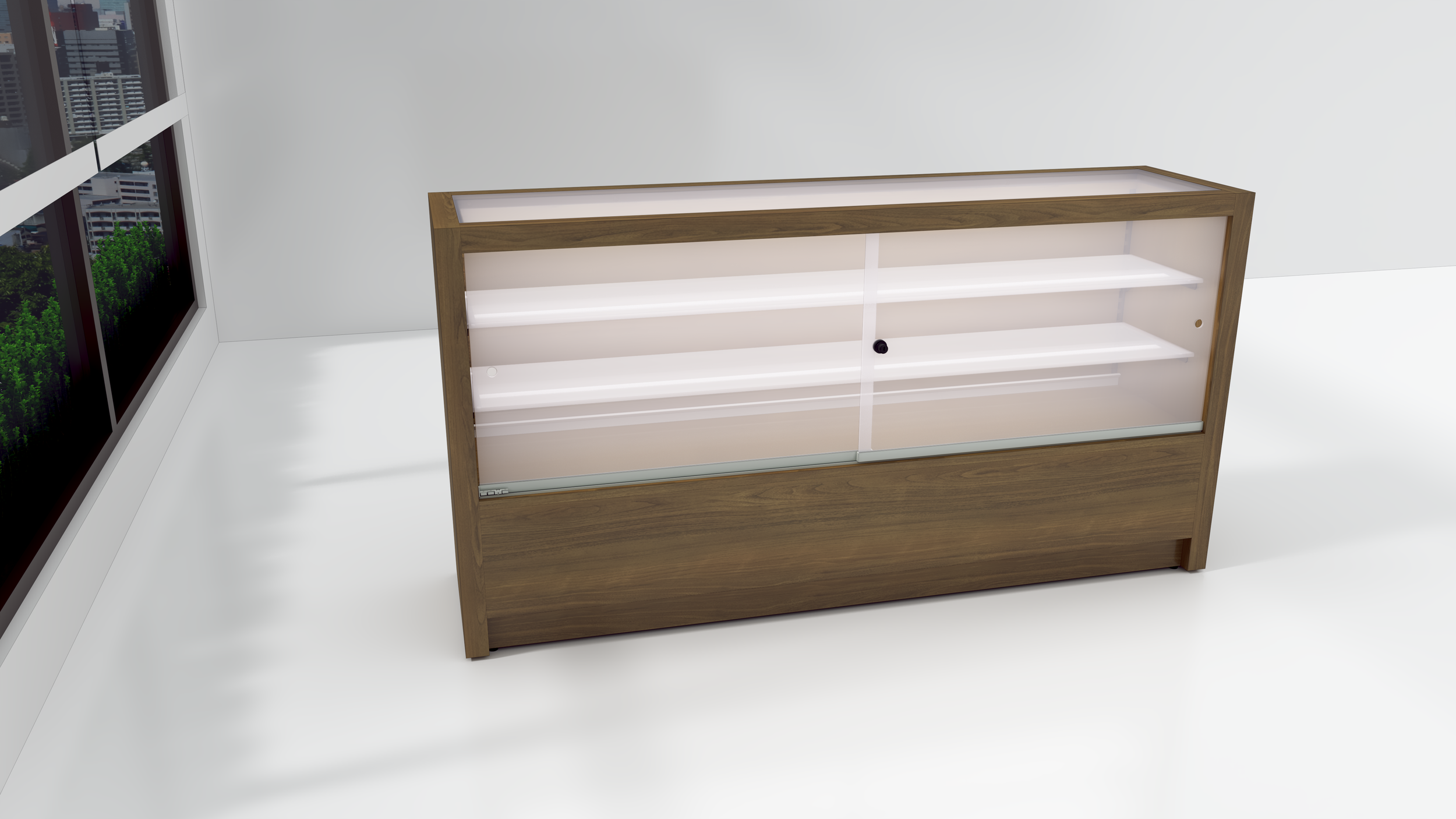display case 3.png