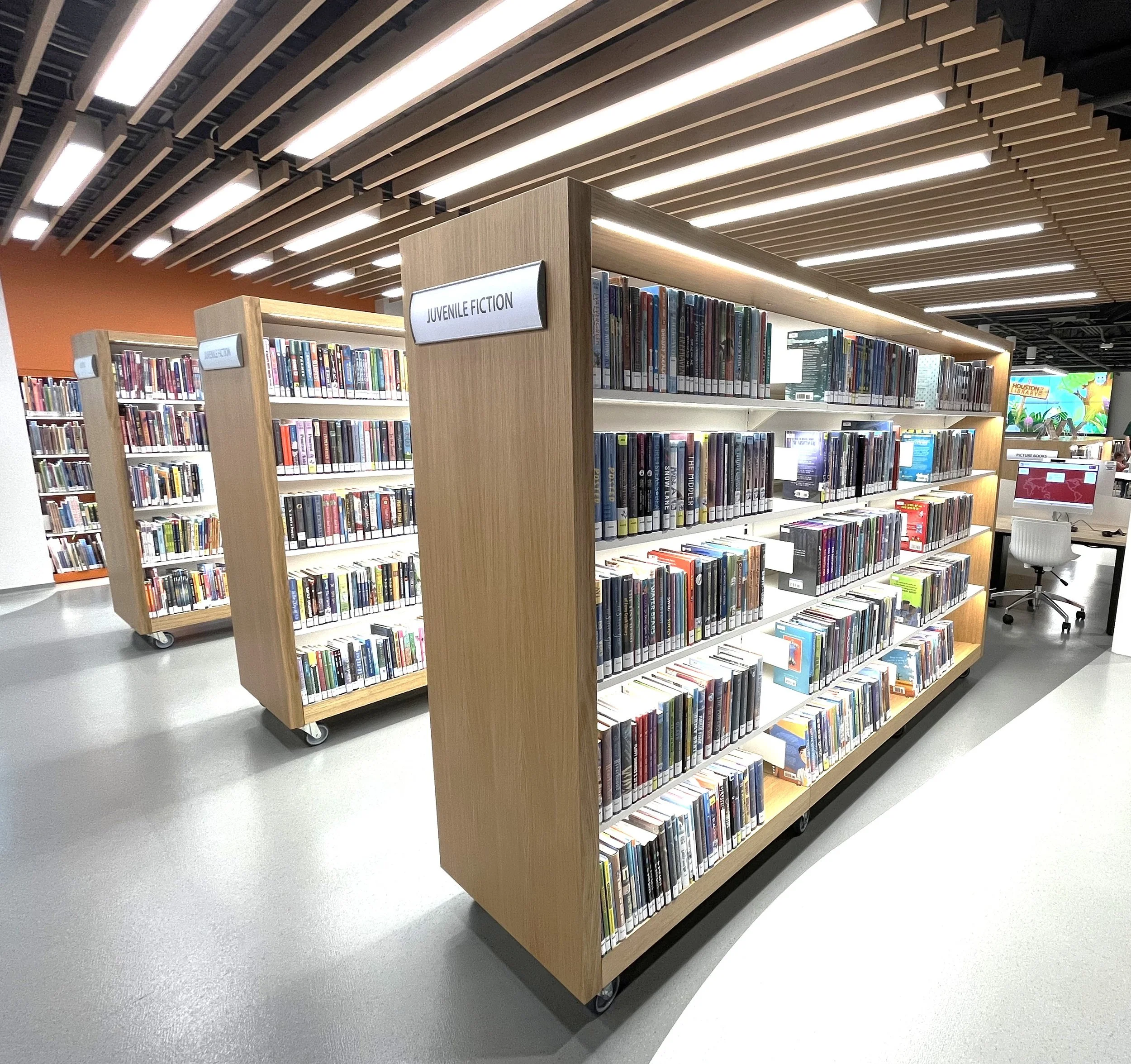 Adult Shelving for LinkedIn.jpg