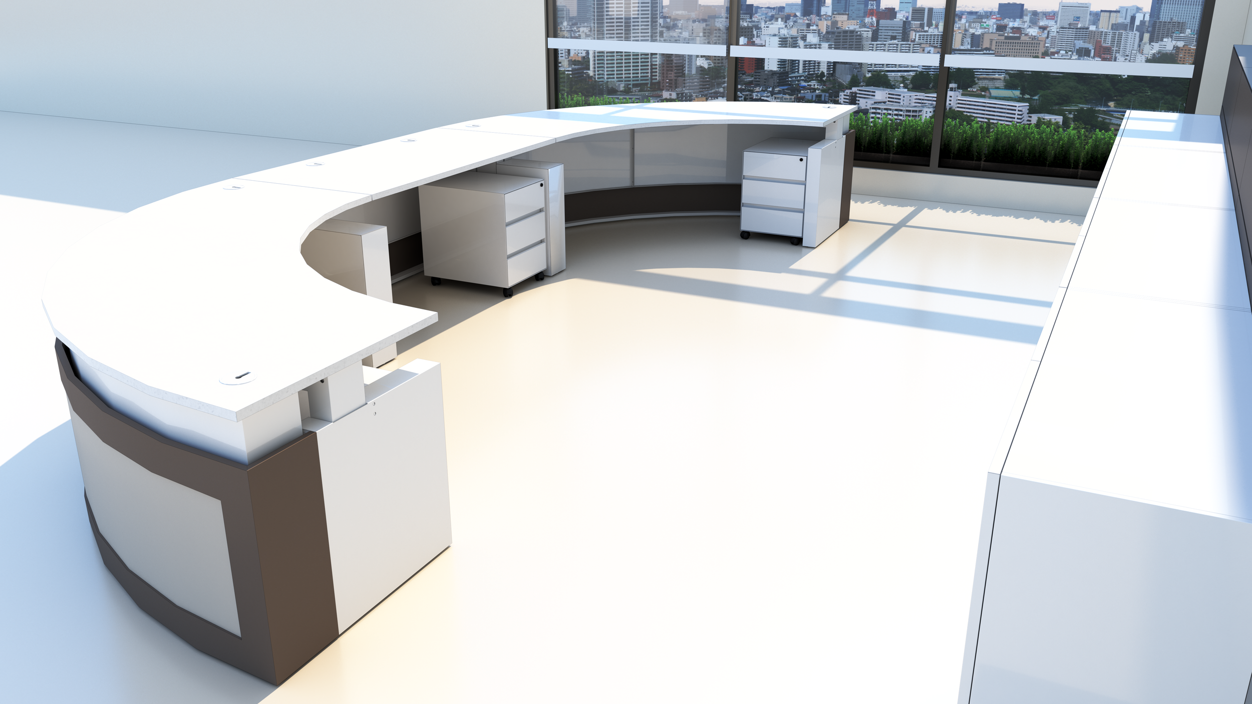 circulation desk backed by cabinates 1.png