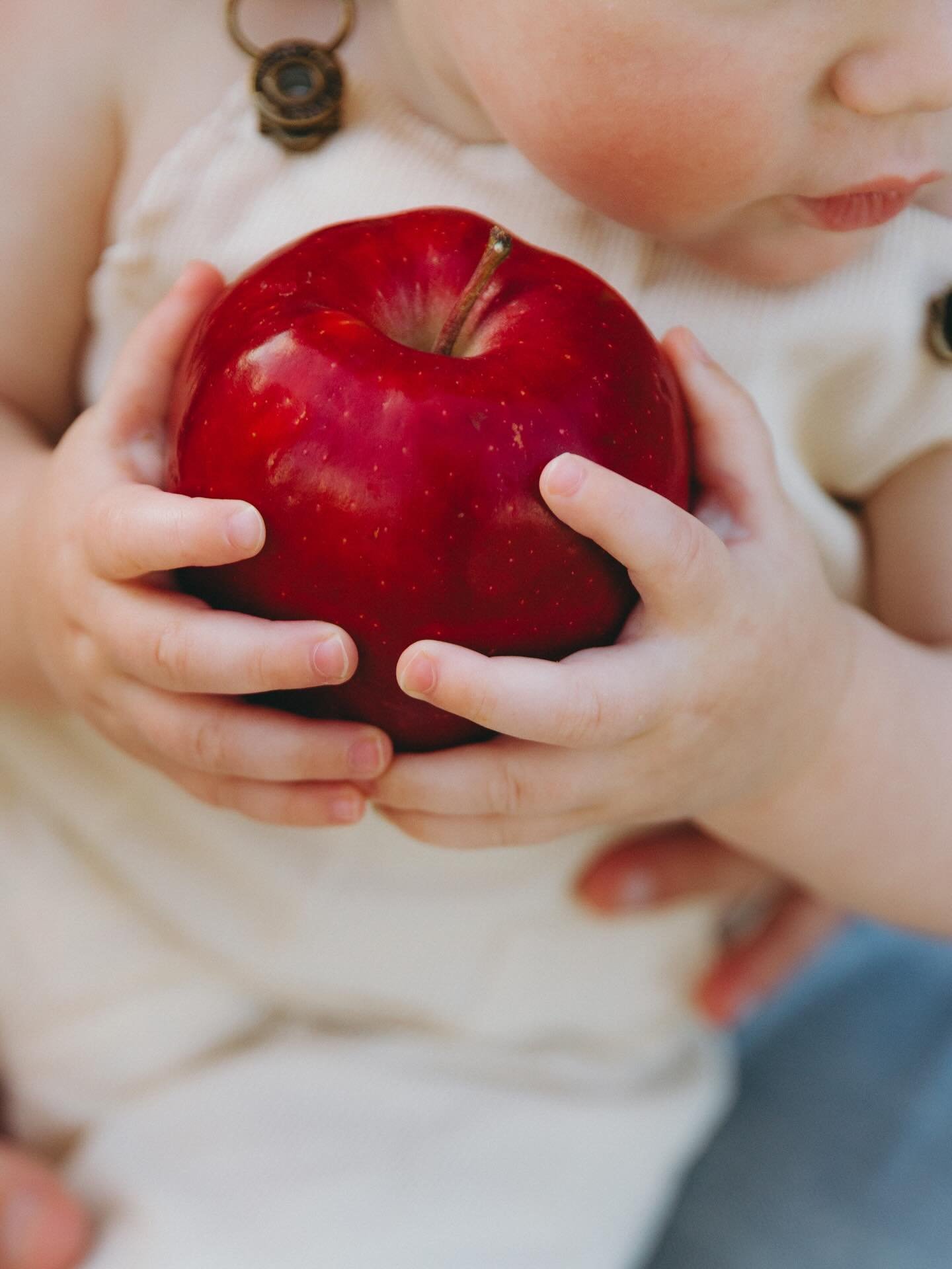 The sweetest one year session for Brooks 🩵🩵