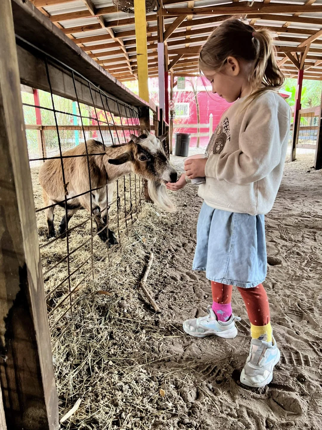 Hippie Sheep Farm Pullover for Kids_004.jpg