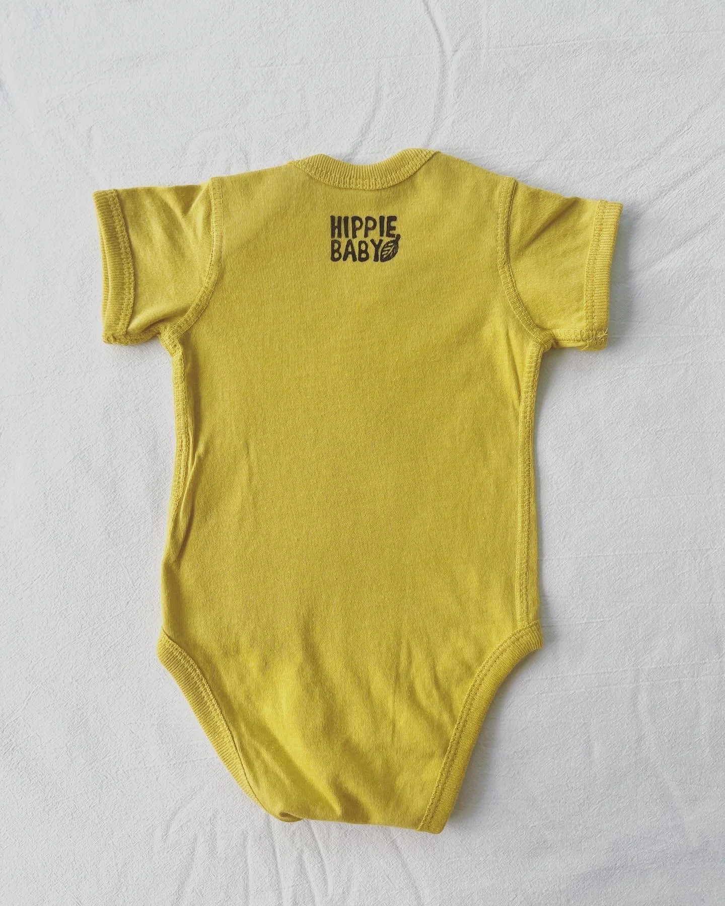 Photo Aug 26 2023, 11 19 15 AM.jpg